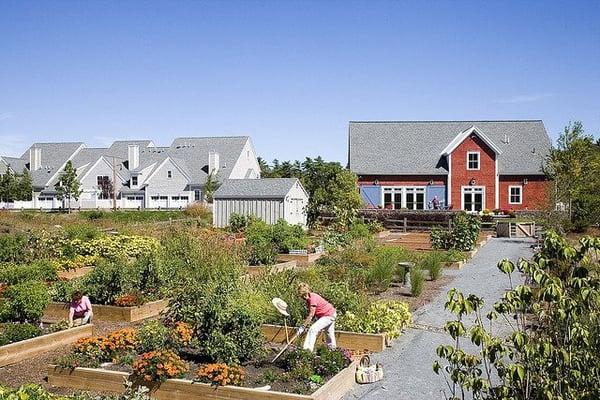 The Victory Gardens and Meeting House at Red Mill Village by Thorndike Development.