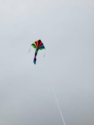 On Newport Beach with a $25 kite from the Kite Company. Hours of entertainment!