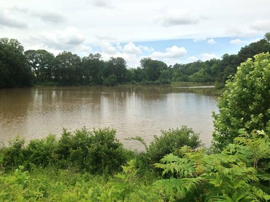 Lake in the middle of the park