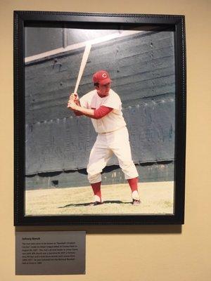 Johnny Bench