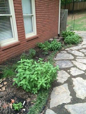 Herb garden