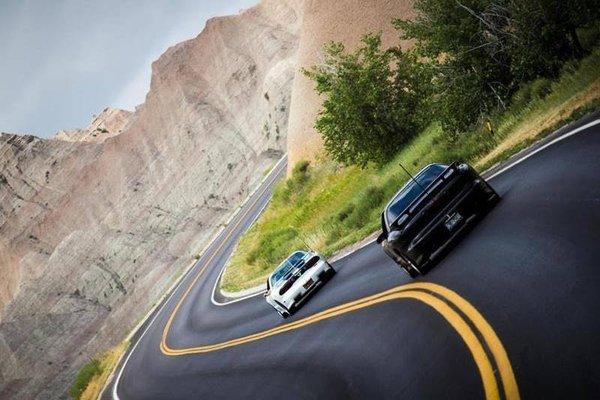 Custer State Park Badlands South Dakota