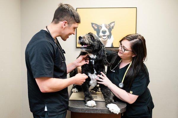 Timbercrest Veterinary Service- Lincoln