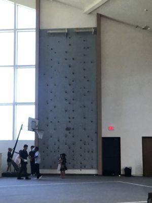 Yes, that is a  rock climbing wall ! How cool !