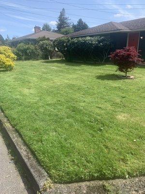 Mowed, edged and blown!