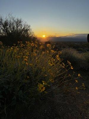 Scottsdale, AZ