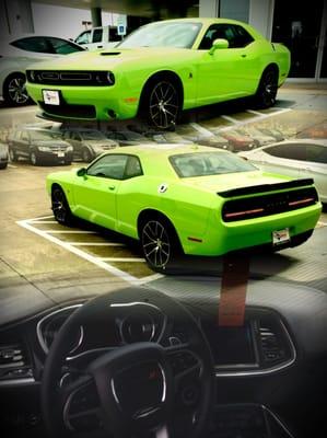 Green Machine! 2015 Hell Cat