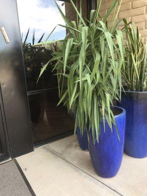 Welcoming entrance with mezuzah case.