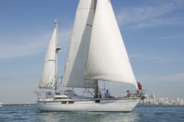 Kiskeedee Sailing Charters