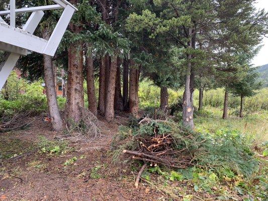 We did a couple of removals of dead and a lot of fire mitigation in order to create a defensible area around their home.