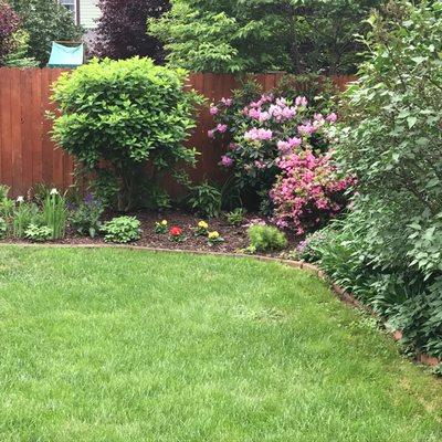 The fence continues toward the front of the property