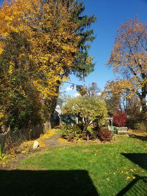 Neighbors tree were invading our space. All cleaned up now.