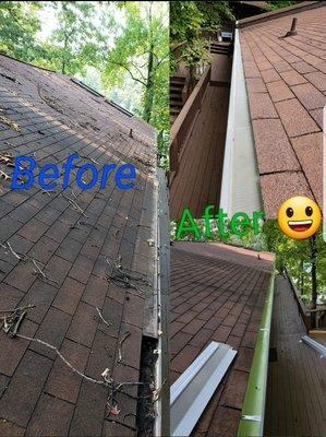 Gutter Cleaning