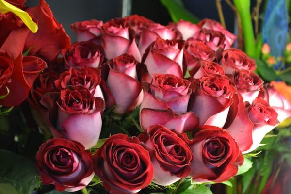 We have the best assorted colors in roses and the best quality.