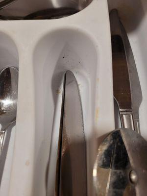 Dirty silverware drawer