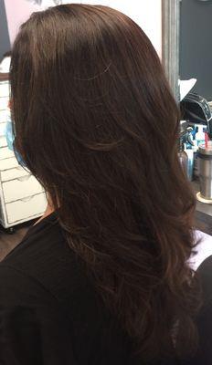 Dark Chocolate Brown color with Long-layered cut