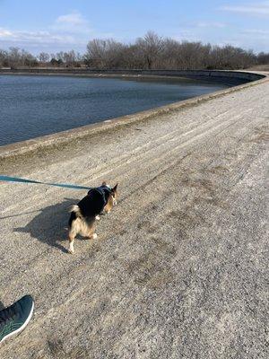 Lynn Lane Reservoir