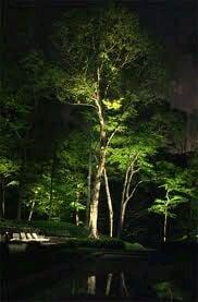 Landscape lighting. Bedford, MA