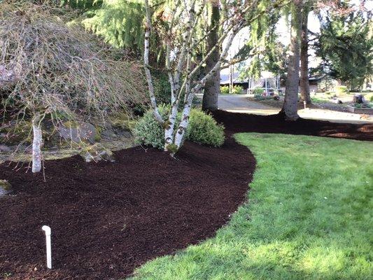 Lawn care planted trees and trimmed bushes plus mulch makes for a beautiful landscape :)