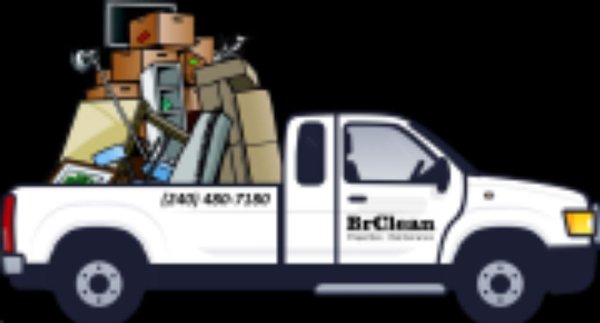 Brclean provides Jun Removal Services