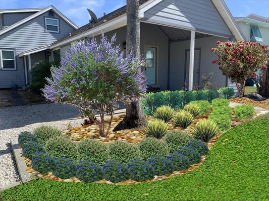 Vitex tree with a Bottlebrush