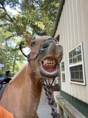 Showing teeth!