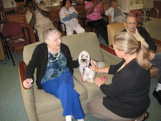 Lola our therapy dog!