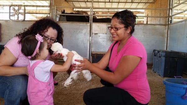 Our Hearts of Gold office is located on the same property as a horse ranch. Here are Care Givers Sarah and Mary Lou and Mary ...