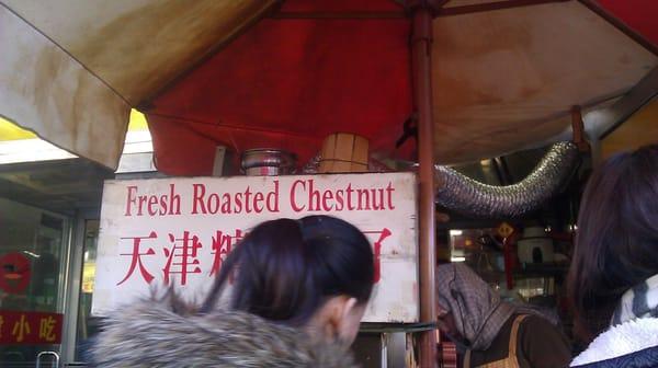 Chestnut King