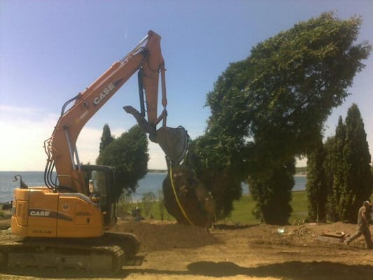 Large tree planting maine NH MA