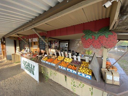 Fran's Original Farm Stand