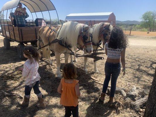 Wagon Ride