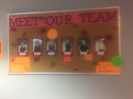 Meet the team