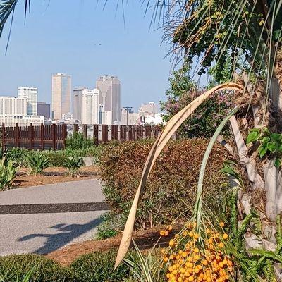 A view of the Central Business District from the Bywater neighborhood