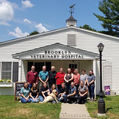 Brooklyn Veterinary Hospital Staff Saying Hi!