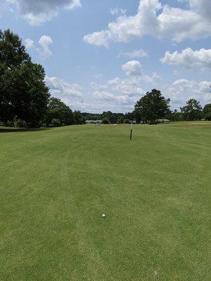 12th fairway. Course conditions here have really improved. Probably the best I've ever seen them. Wow.