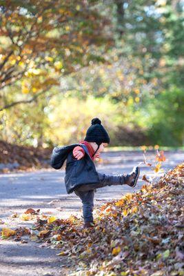 Fall Session