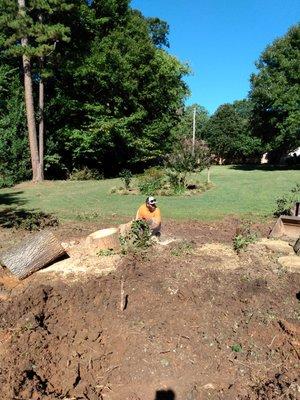 D & D Landscaping and Tree Service