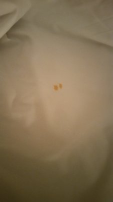 stains on sheets at inlet lodge