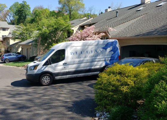 BlueJay Carpet Cleaning