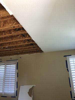 Ceiling damage!