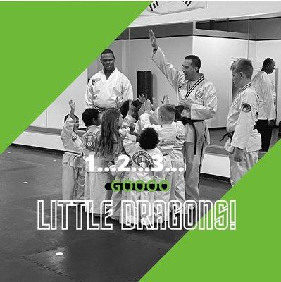 Our Dragon's class, ages 4-6 years old is so much fun. We focus on life skills and the fundamentals of martial arts.