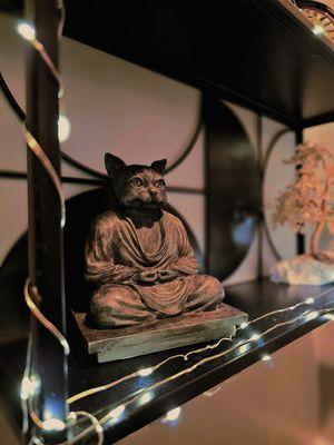 Zen Magick cat