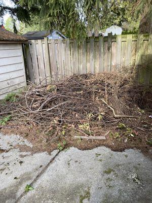 This is the brush pile I asked them to haul off months ago- still there!