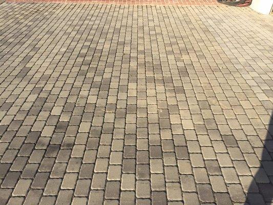 Driveway Paver Stone