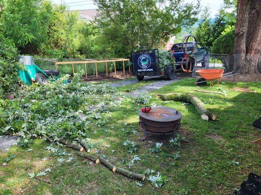 Fallen limb cleanup.