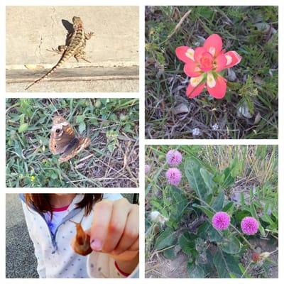 A sample of the flora & fauna we saw during our spring camp out at Taylor Park.