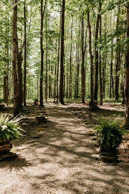 Trail leading to ridge overlooking the Ashtabula river