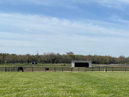 Talisman Therapeutic Riding