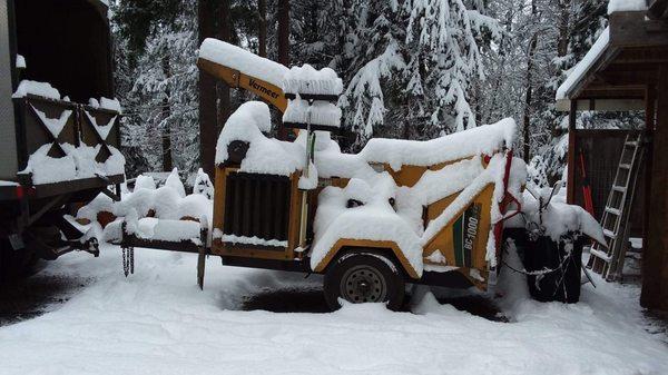 A-1 Tree Service Conservation